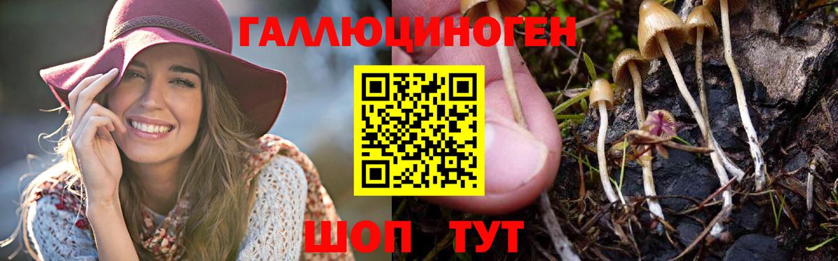 Ярославль  Галлюциногенные грибы Magic Shrooms  Вход с VPN 